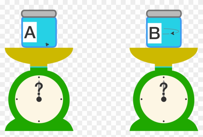 Two Identical Jars A A And B B Each Contain A Fruit - Circle #448104