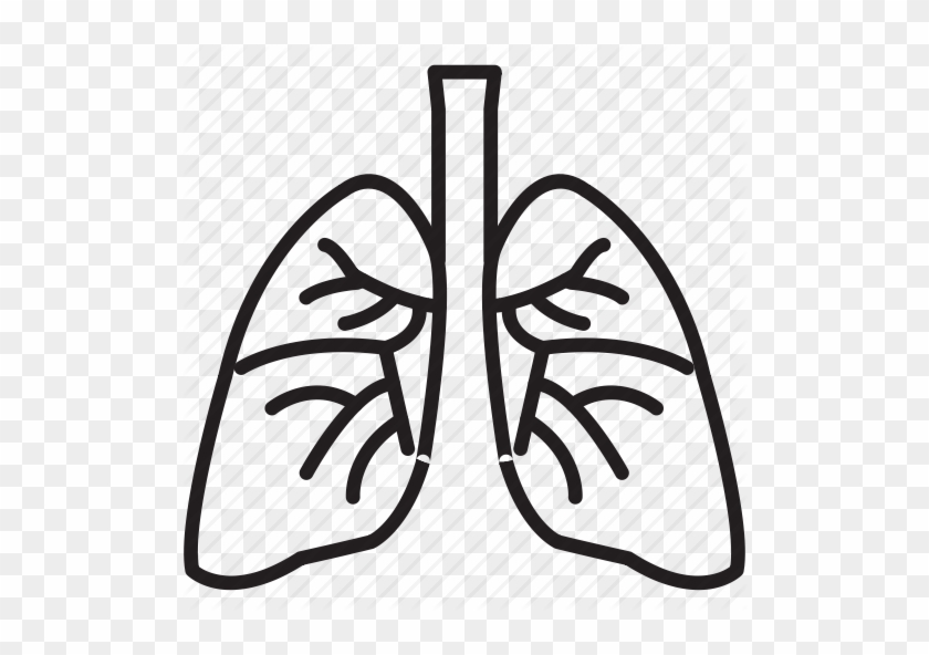 Free Icons Png - Lungs Clipart Transparent Background #449561