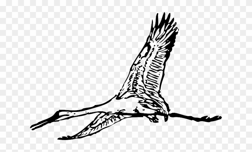 Flying, Wings, Crane, Animal, Giant, Feathers - Crane Or Crane? [book] #449946