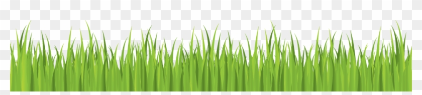 Home - Cookout Clipart #450182