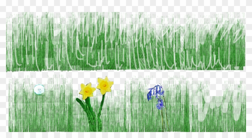 Grass - Grass #450284