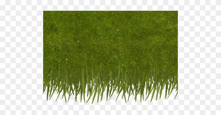 Generic Grassoverhang1 Col - Lawn #450325