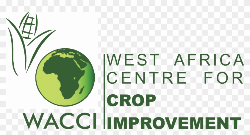 Welcome - Wacci #450495