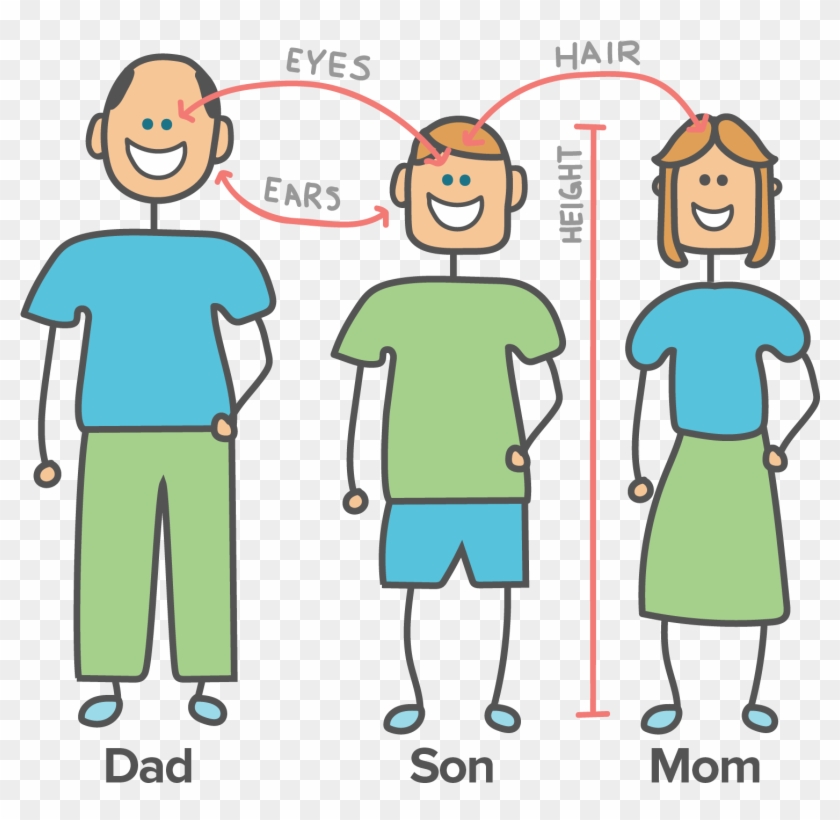 Adaptive Value Of Behavioral Traits Video Khan Academy - Parents Genes #451660