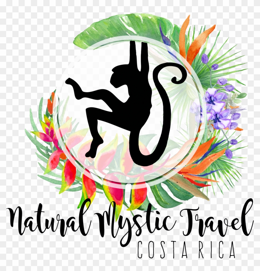 Natural Mystic Travel - Stickerbrand Nature/animals Vinyl Wall Art Safari Monkey #452694