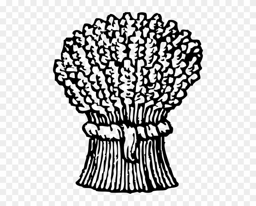 Straw Clipart Wheat Bundle - Were The Middle Colonies Known #455507