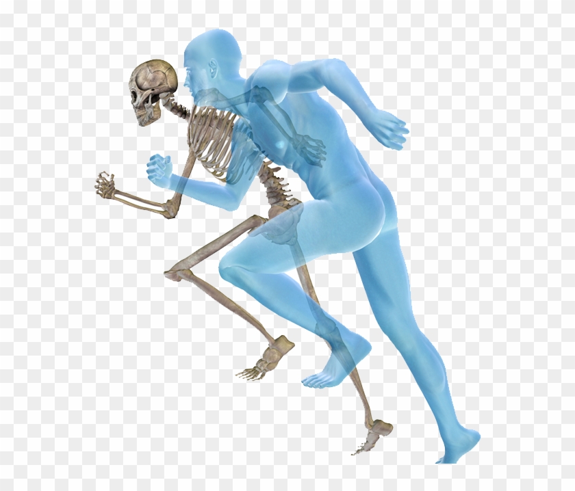 Physical Therapy Physical Medicine And Rehabilitation - Physical Therapy Physical Medicine And Rehabilitation #455914