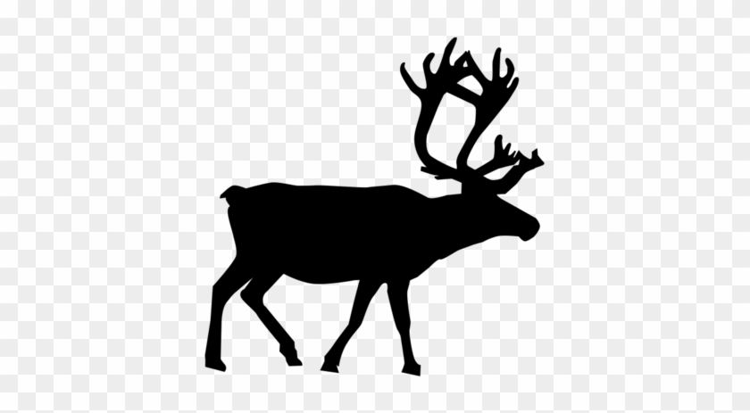Reindeer Vector #457411