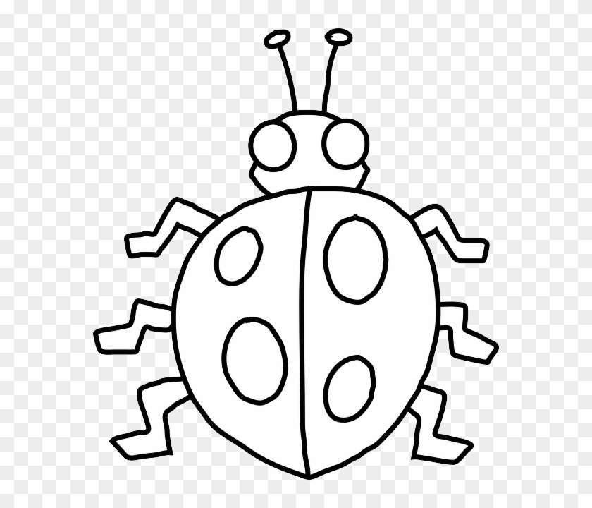 Ladybird Drawing Black And White Clip Art - Insect Worksheet For Preschoolers #458764
