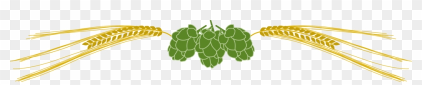 Hops And Barley - Barley And Hops Vector #459251