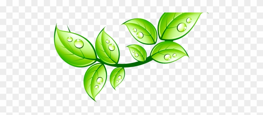 Leaf - Internet #460249